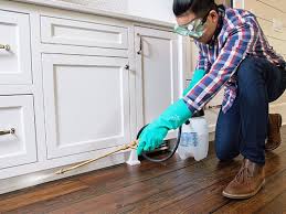 Best Pest Control for Multi-Family Homes  in Burns, TN